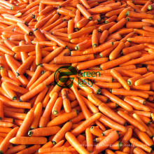 Carottes entières chinoises entières au choix Grade a